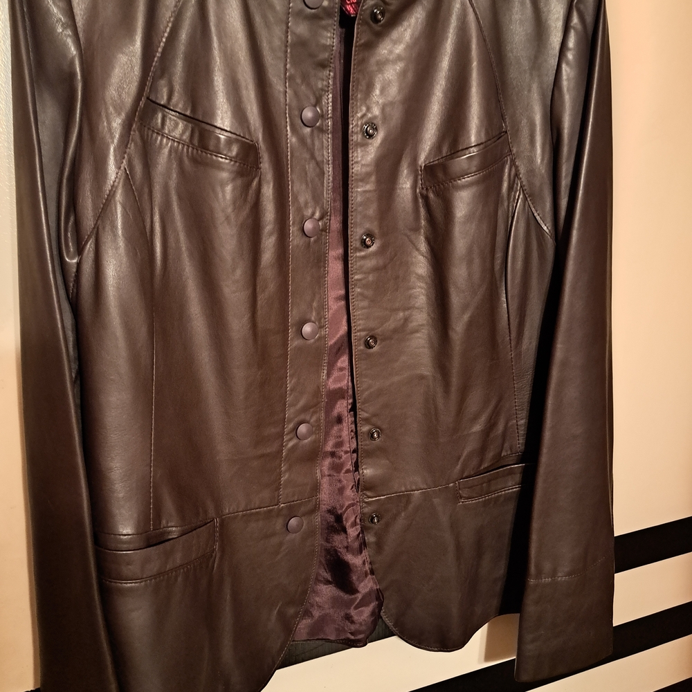 Danier Dark Brown Leather Jacket